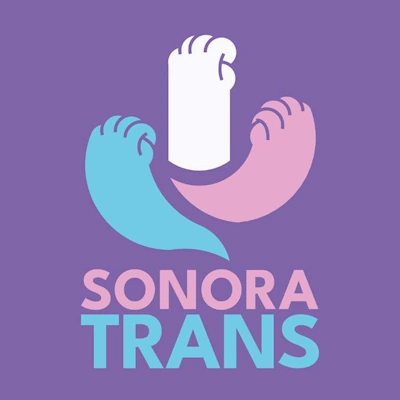 Mexico Igualitario - Alianza Sonora Trans